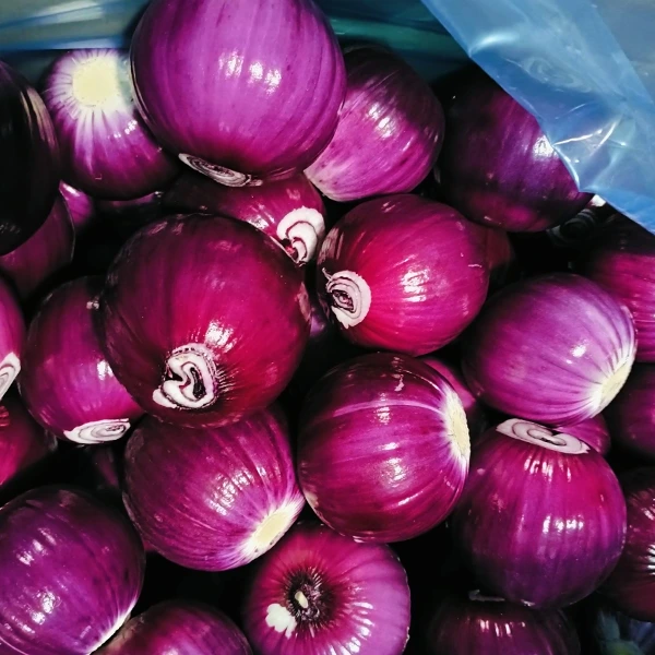 Huaang Food Processing C. Market Share with Stabilis Quality