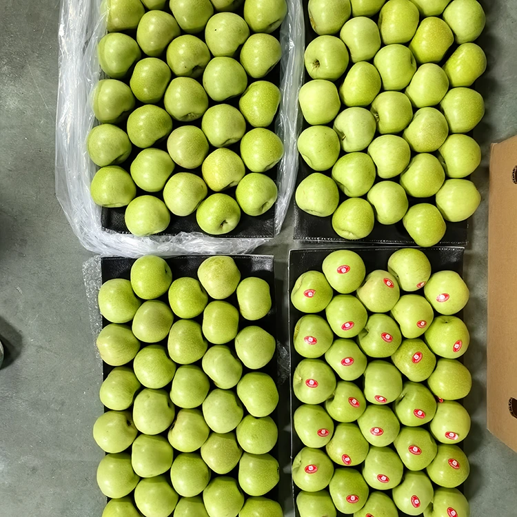 Rigidas et dulcia viridia poma