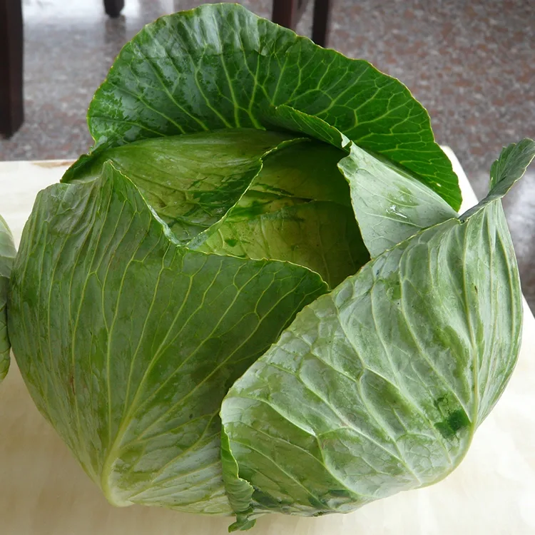 Crisp Nova Brassica