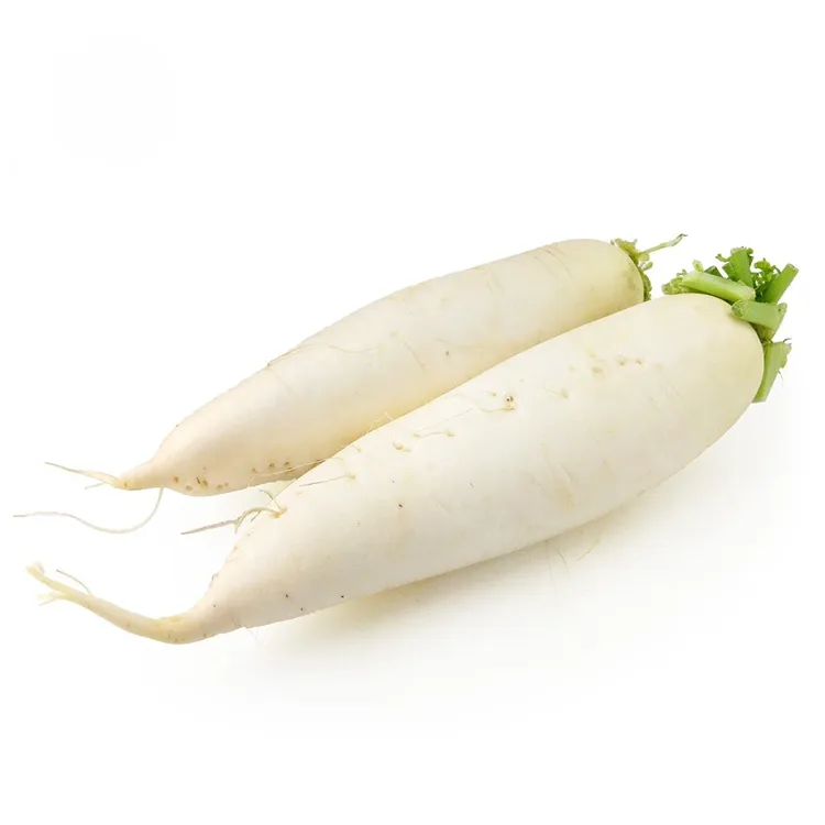 Crunchy Alba Raphanus