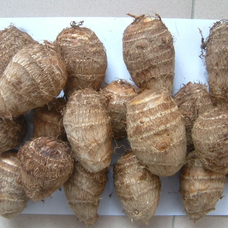 Ager Fresh Taro