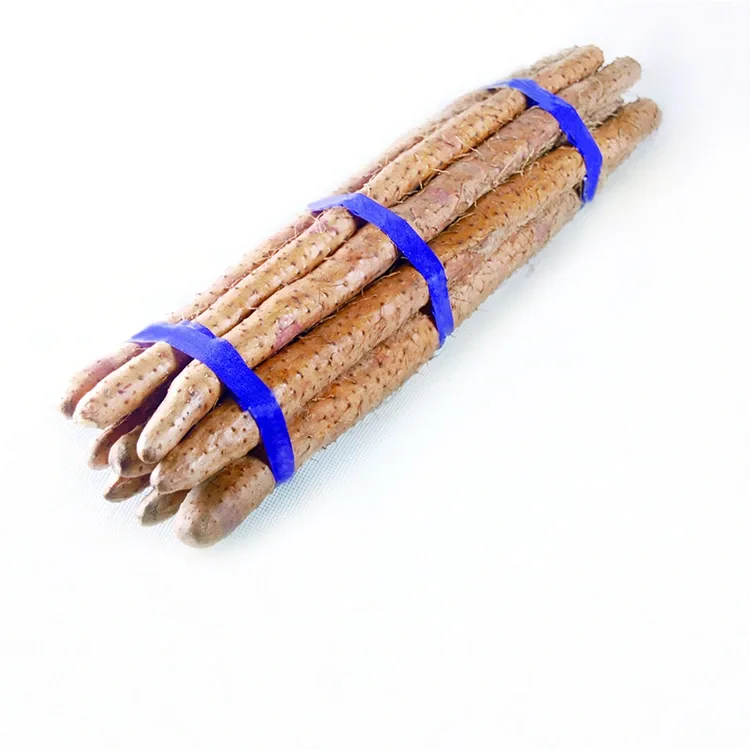 Nova Chinese Yam