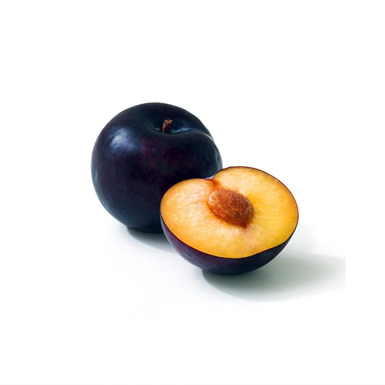 Nova pubentes nigra plum