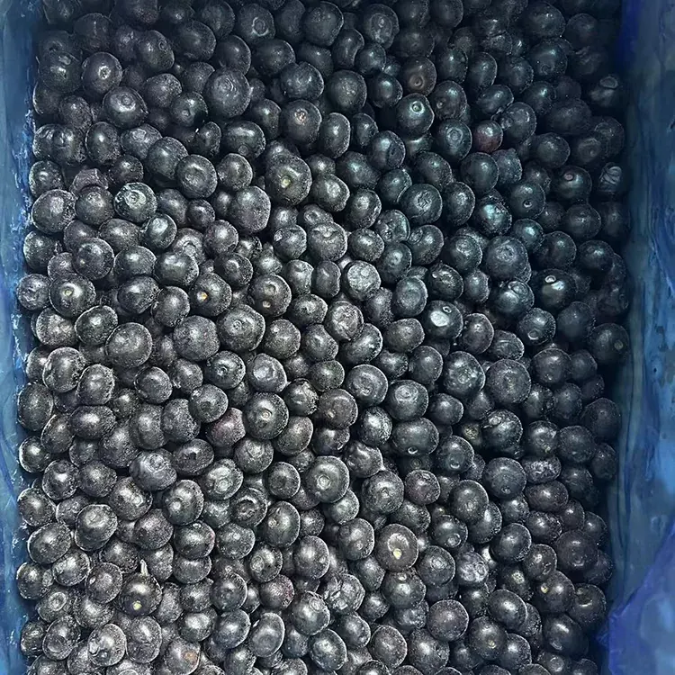 Congelatum Blueberry Premium IQF Blueberries
