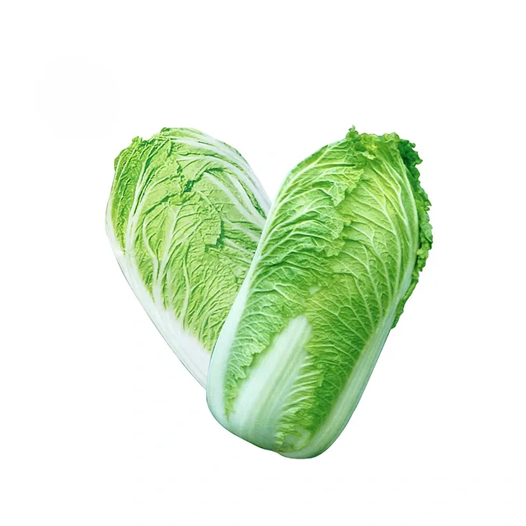 Hortus Novae Seres Brassica