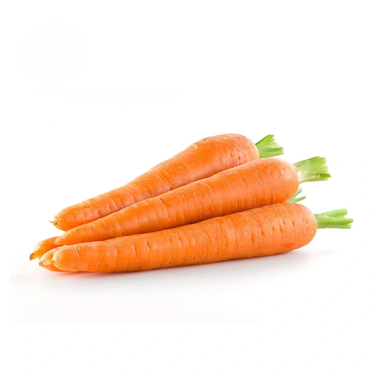 Manus Selectae Tempus Carrots