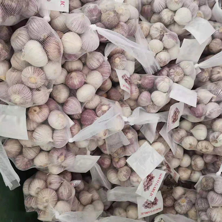 High Quality Single Clove Allium