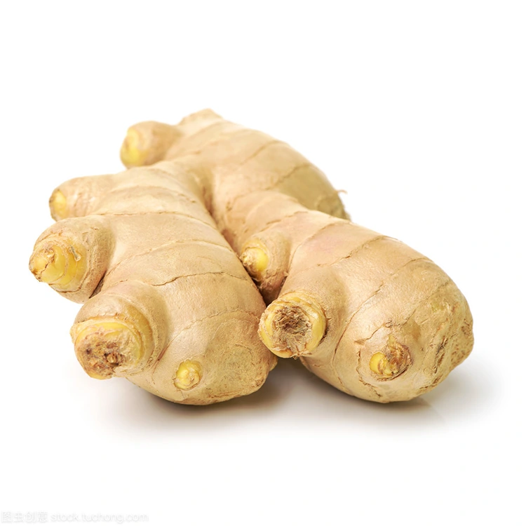 Premium Aeris arida Gingiberi