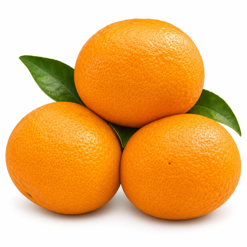 Premium Fresh Aiyuan Jelly Aureum Tenuis Peel