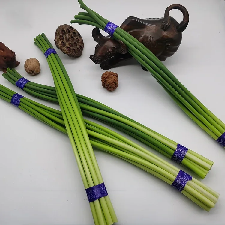 Premium Allium Scapes